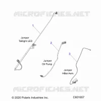 ELETTRICO, JUMPER WIRES