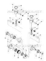 PISTONE AND ALBERO MOTORE SPORT (4914161416029A)