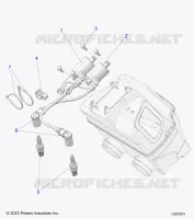 ELETTRICO, IGNITION COIL/SPARK PLUGS