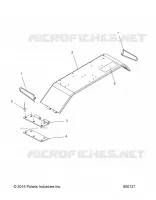 CHASSIS, PROTEZIONE FRIZIONE