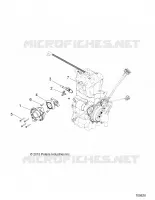 ENGINE, CORPO FARFALLATO AND FUEL RAIL