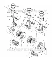 PISTONEEE   ALBERO MOTORE RXL / 0930768 AND RXL SKS / 0930568 (4922992299032A)