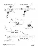 ELECTRICAL, JUMPERS/CABLAGGIO