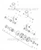 PISTON AND ALBERO MOTORE (SS) (4909540954023A)