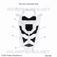 CAPPUCCIO FOAM/SEAL