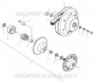 FRIZIONE DRIVEN ASSEMBLY
