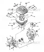 CARTER and CILINDRO 250 4x6/W928627 (4922902290039A)