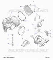 ENGINE, CORPO FARFALLATO AND FUEL RAIL