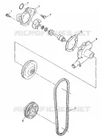 POMPA DELL'ACQUA WIDETRAK LX 0972065 and EUROPEAN WIDETRAK LX E972065 (4938223822C009)