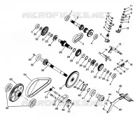 SCATOLA DEGLI INGRANAGGI (Internal Components)