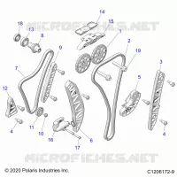 ENGINE, TIMING AND OIL CATENA DRIVES