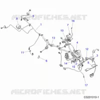 ELETTRICO, HARNESS