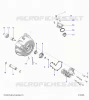 ENGINE, SISTEMA DI RAFFREDDAMENTO AND WATER PUMP