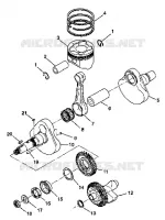 ALBERO MOTORE AND PISTONEE