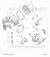 ENGINE, CORPO FARFALLATO AND FUEL RAIL