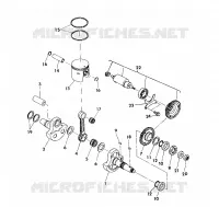 ALBERO MOTORE AND PISTONEE 350 4X4/W928139 (4922832283038A)