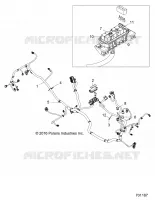 ELETTRICO, WIRE HARNESS