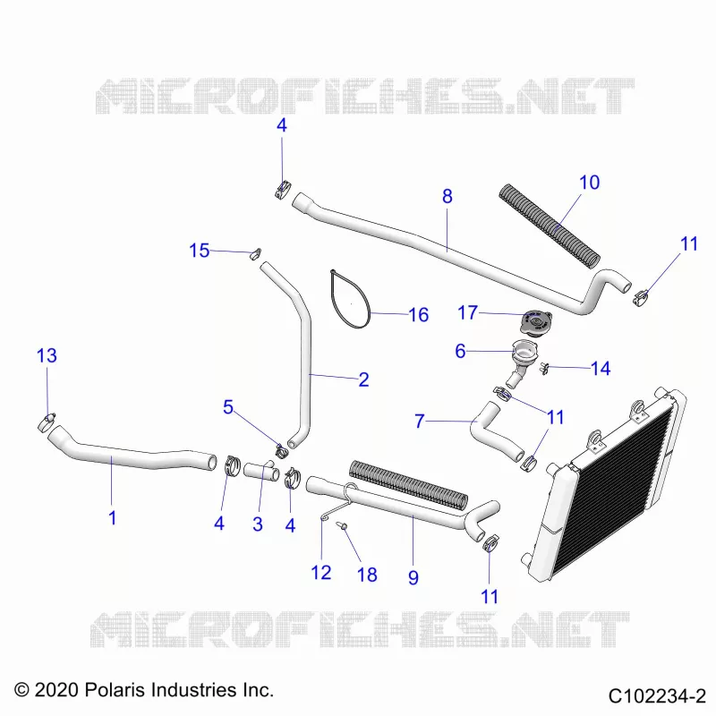 ENGINE, SISTEMA DI RAFFREDDAMENTO, HOSES