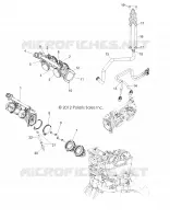 corpo farfallato and INJECTOR