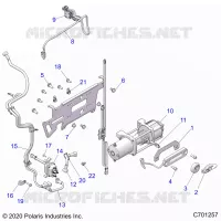 ACCESSORY, VERRICELLO
