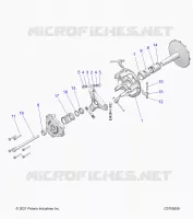 TRASMISSIONE, PRIMARY CLUTCH