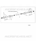 DRIVE TRAIN, POSTERIORE ALBERO