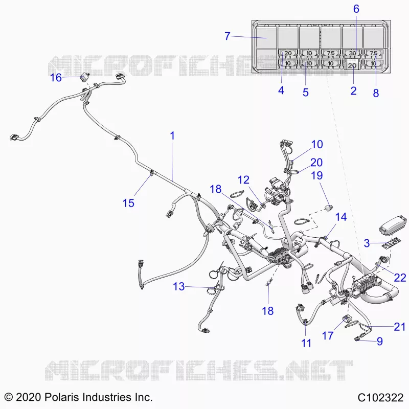 ELETTRICO, HARNESS