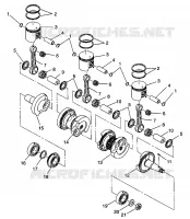 PISTONEEE   ALBERO MOTORE XLT LTD 0973756 AND EUROPEAN XLT LTD E973756 (4937793779C006)