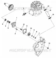 POMPA DELL'ACQUA ASSEMBLY (4918541854044A)