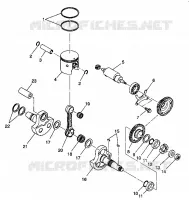 PISTONEEE   ALBERO MOTORE 6X6 350L W938739 (4924062406042A)