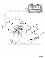 ELETTRICO, HARNESS