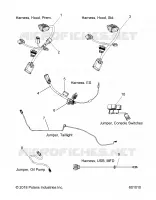 ELECTRICAL, JUMPERS/CABLAGGIO