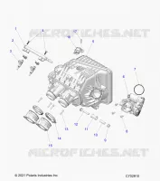 ENGINE, INTAKE MANIFOLD, CORPO FARFALLATO, FUEL RAIL- Z24NMF99AR/AM/BR/BM (C702910)