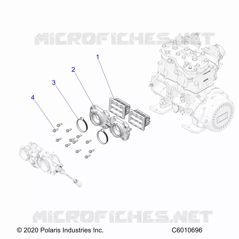 MOTORE, REED VALVE