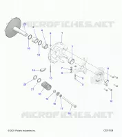 TRASMISSIONE, PRIMARY CLUTCH