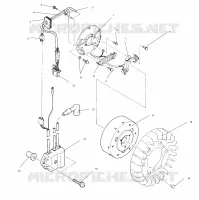 MAGNETO ASSEMBLY