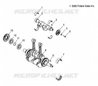 MOTORE, ALBERO MOTORE