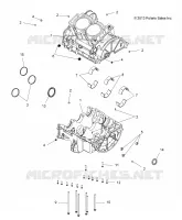 CARTER