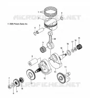 ALBERO MOTORE AND PISTONEE