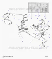 ELETTRICO, WIRE HARNESS
