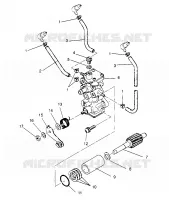POMPA DELL'OLIO XLT RMK 0960956, XLT SKS 0960556  and EUROPEAN XLT SKS E960556 (4931813181C014)