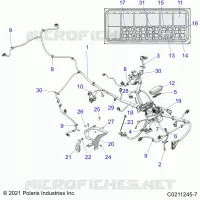 ELETTRICO, MAIN WIRE HARNESS