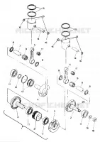 PISTONE AND ALBERO MOTORE WIDETRAK (4919301930027A)