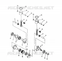 PISTONEEE   ALBERO MOTORE INDY LITE (4921332133028A)