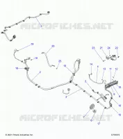 ELETTRICO, WIRE HARNESS, PERIPHERAL