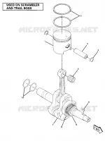 ALBERO MOTORE AND PISTON ASSEMBLY (4910981098044A)