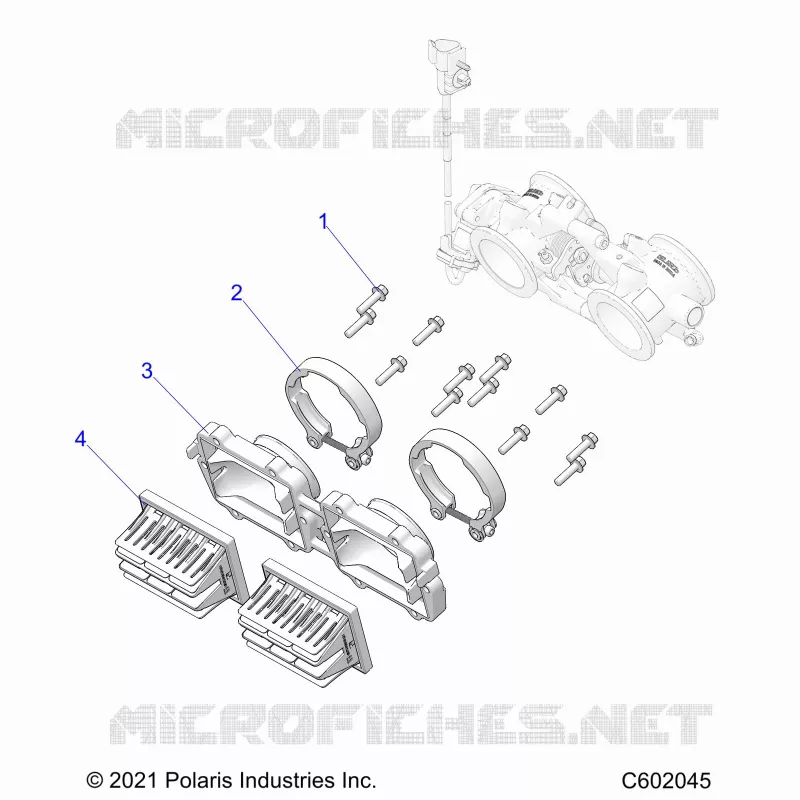 ENGINE, REED VALVE AND CORPO FARFALLATO ADAPTOR