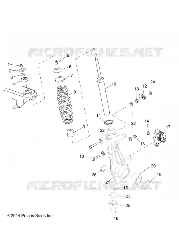 SUSPENSION, ANTERIORE MONTANTE