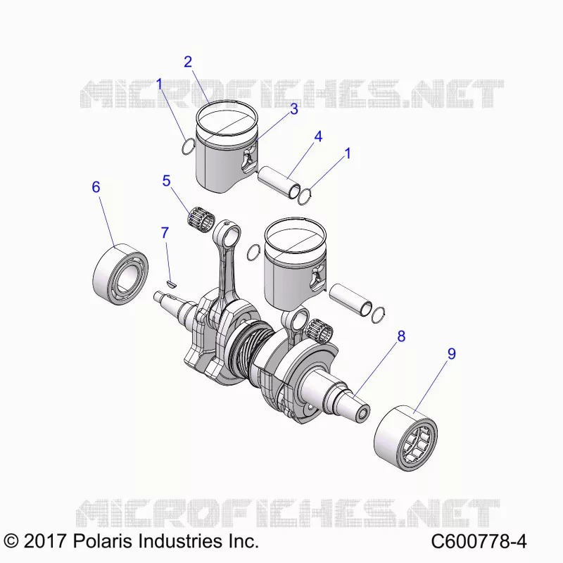 ENGINE, PISTON AND ALBERO MOTORE