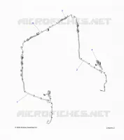 BODY, ELETTRICO COMPONENTS, DOOR/WINDOW